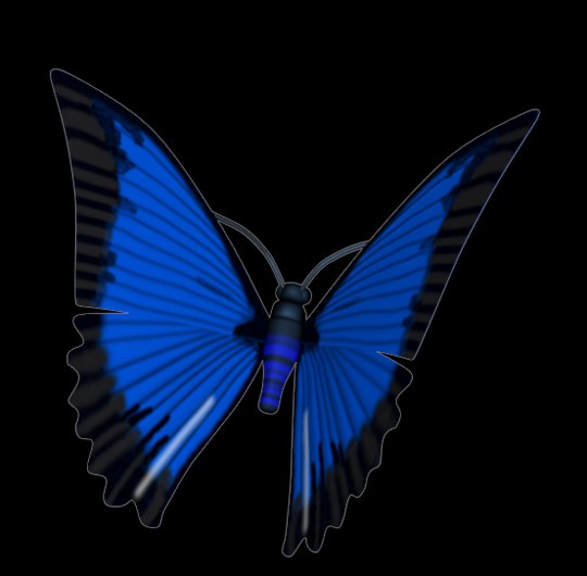 Butterfly