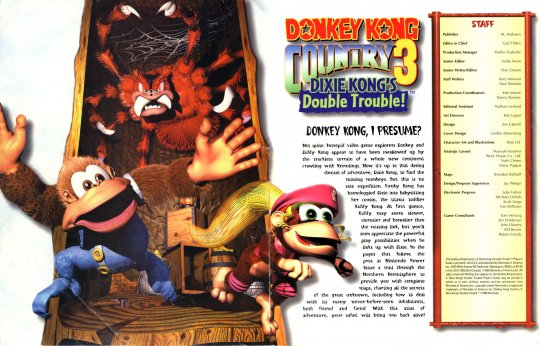 DKC 3 - 001-002-----