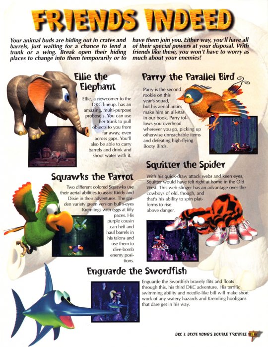 DKC 3 - 012