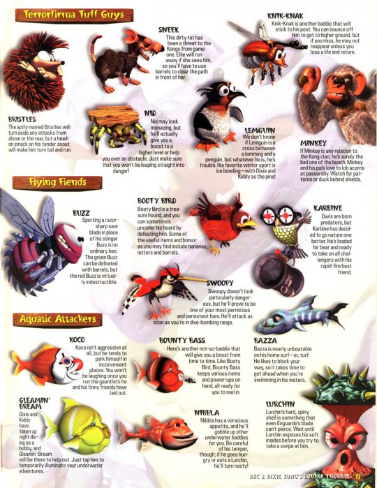 DKC 3 - 014