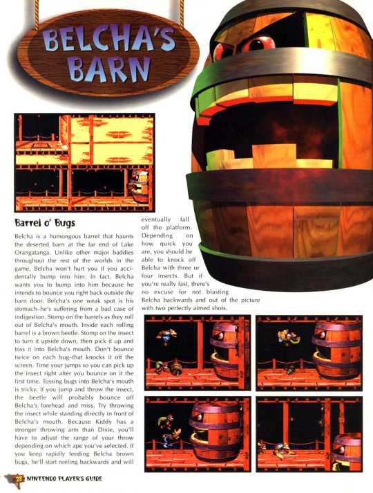 DKC 3 - 029