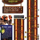 DKC 3 - 031