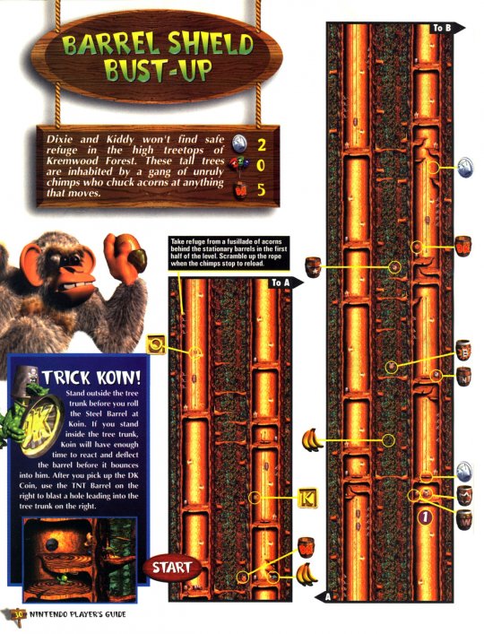 DKC 3 - 031