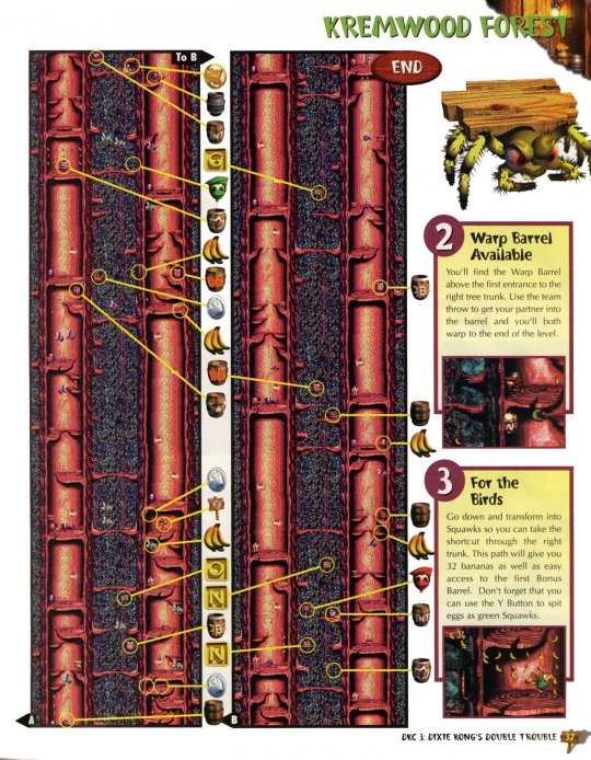 DKC 3 - 038