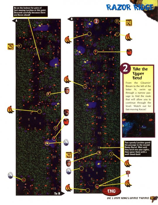 DKC 3 - 088