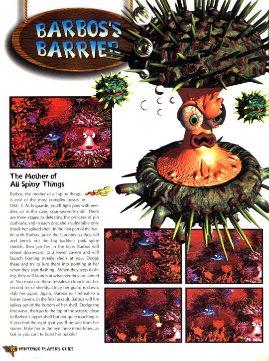 DKC 3 - 093
