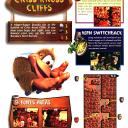 DKC 3 - 111
