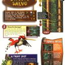 DKC 3 - 115
