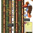 DKC 3 - 116