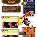 DKC 3 - 117